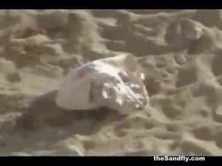 Thesandfly आमेचर बीच swell सेक्स!