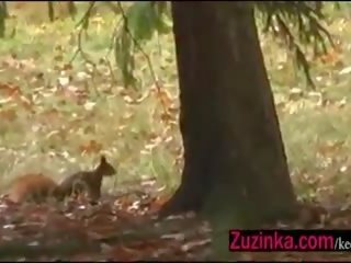 Ontzagwekkend! hardcore in de park met mensen toekijken